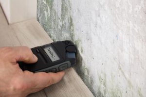 Mould Testing Option 2