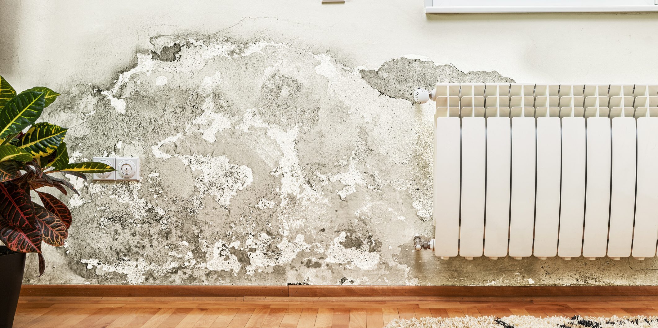 How To Prevent Mould In Winter